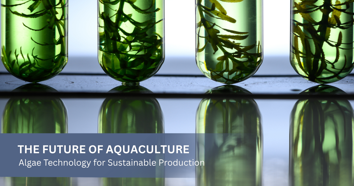 Photobioreactor Technology Drives a New Approach to Sustainable Aquaculture in Indonesia