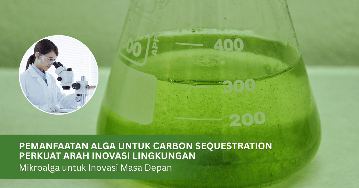 Photobioreactor Technology Drives a New Approach to Sustainable Aquaculture in Indonesia